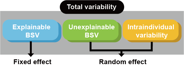 임의효과로 남겨져 있는 설명 불가능한 개인차