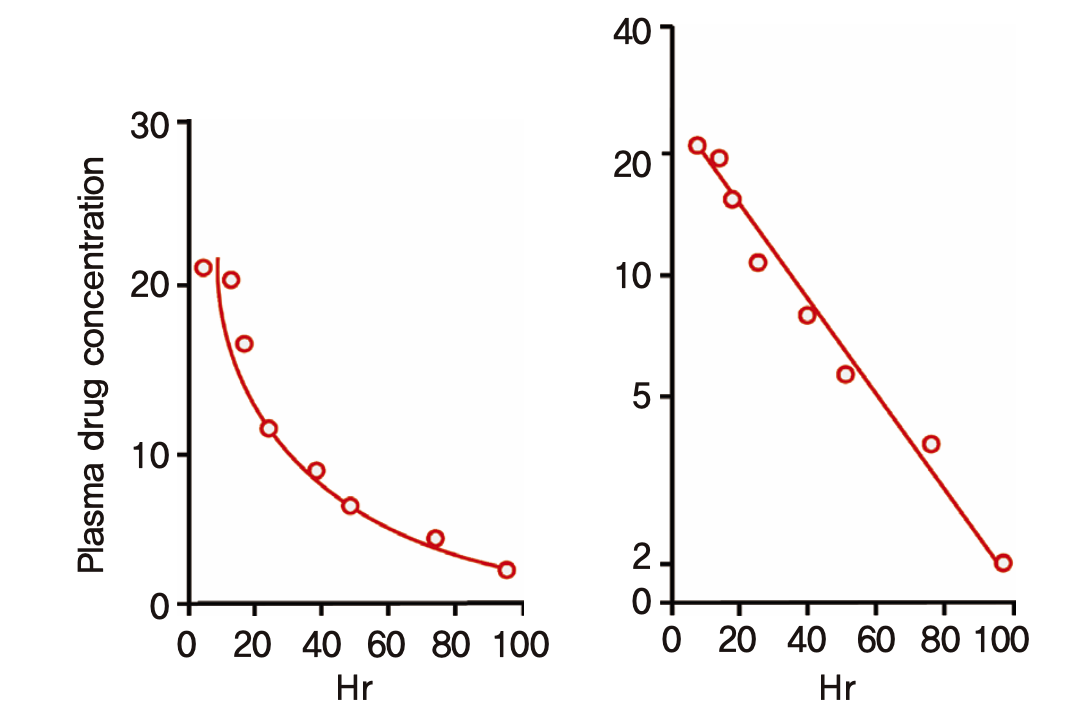1차식에 따라 제거되는 혈장약물농도의 시간에 따른 변화