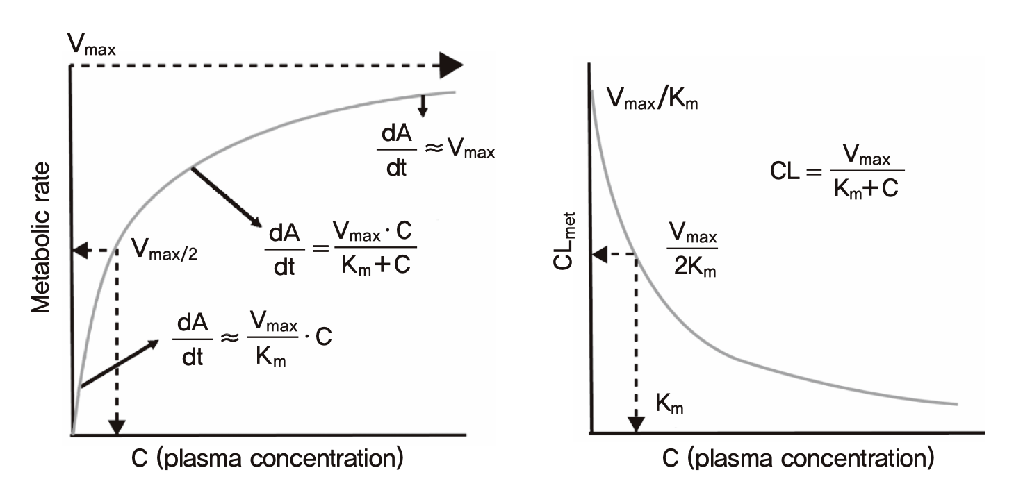 비선형약동학을 따르는 약의 혈장농도와 대사속도, CL의 관계